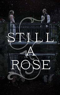 Still a Rose