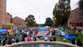 Police Make Dozens of Arrests at UCLA in Tense Clashes With Israel-Hamas War Protesters