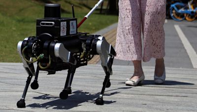 Chinese robot 'guide dog' aims to improve independence for visually impaired