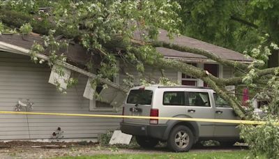 Laura Nagel: Indiana woman killed when tree fell on her home during severe weather Monday night