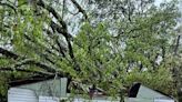 LIVE UPDATES: Repairs underway across north Georgia after morning of severe storms