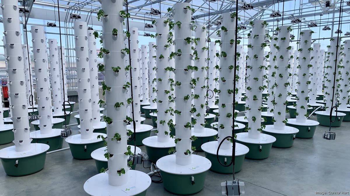 Urban League of Metropolitan St. Louis' $6M hydroponic farm aims to grow education and jobs as well as fresh produce - St. Louis Business Journal