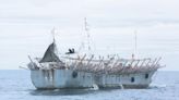 Más de 180 barcos extranjeros pescan ilegalmente: Produce aplica multas irrisorias
