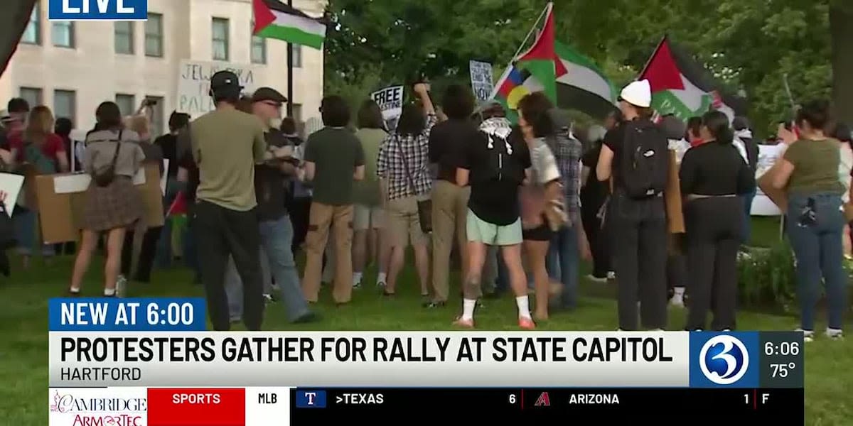 Pro-Palestinian supporters rally at the State Capitol