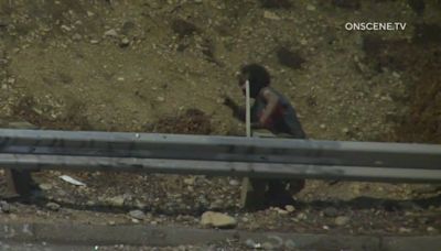 Homeless man seen on video throwing rocks onto 110 Freeway