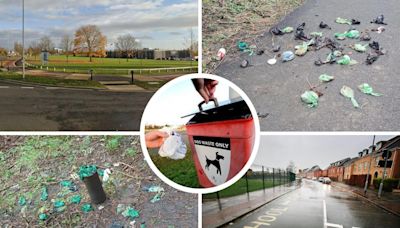 The worst streets in Darlington and County Durham for dog poo - according to readers