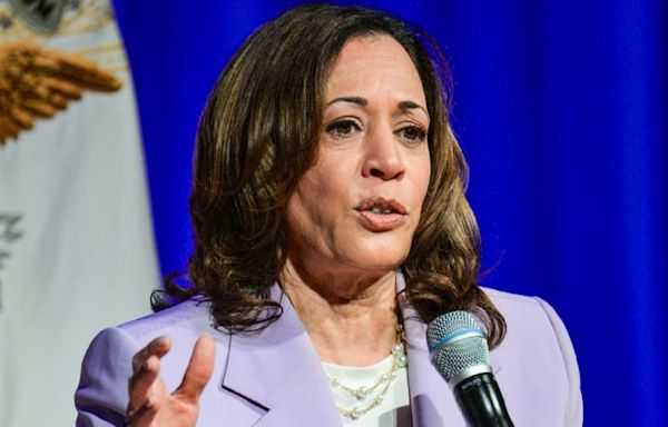 'A lot of excitement' around VP Harris's running mate pick