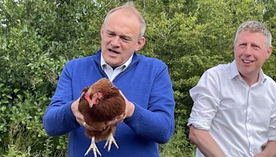 Sir Ed Davey warns water companies to invest as he feeds chickens on farm
