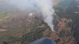 Continúan los esfuerzos por mitigar incendio forestal en el Parque Isla Salamanca: van 72 horas de conflagración