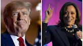 ‘Man-baby’ Donald Trump mocked for obsessing over Kamala Harris crowd sizes at rally; ‘he is so scared…’