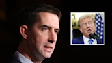 Tom Cotton confronted with 2020 remark on Trump peacefully leaving office