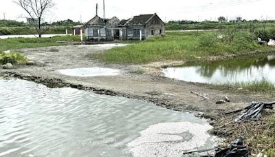 驚！嘉義知名「東石水中屋」水域 魚蝦成群暴斃