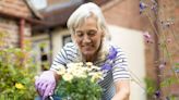 Gardening may stave off dementia, study finds