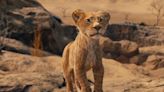 Watch the first trailer for Lion King prequel movie