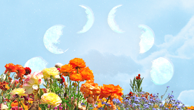 These 4 Zodiac Signs Will Feel the Full Flower Moon in Sagittarius the Most