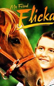 My Friend Flicka (film)