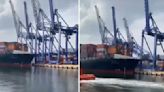 租入船土耳其港口撞倒大型貨櫃吊機 陽明海運回應了