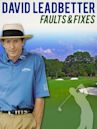 David Leadbetter: Faults and Fixes