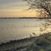 Langstone Harbour