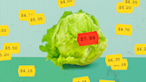 Is lettuce getting more expensive? Experts explain the shortage and share alternatives to leafy greens.