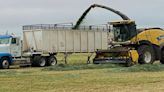 Ag producers manage schedules for early winter wheat harvest in erratic weather