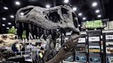 Jurassic Quest in Louisville: Dinosaurs are coming to Kentucky. Here’s when and where