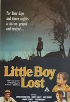 Little Boy Lost