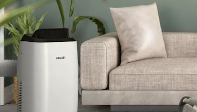 The best portable and window air conditioners for Summer 2024