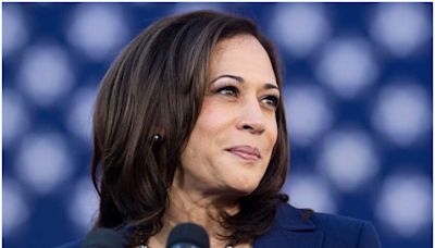 Kamala Harris Meets Benjamin Netanyahu, Says Will Not Be Silent On Gaza Suffering