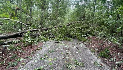 National Weather Service surveys damage from EF-1 tornado that hit Halifax County