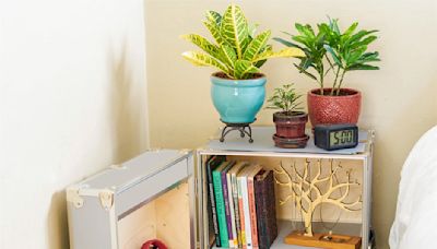 9 tips from decor experts for a comfortable and functional dorm room