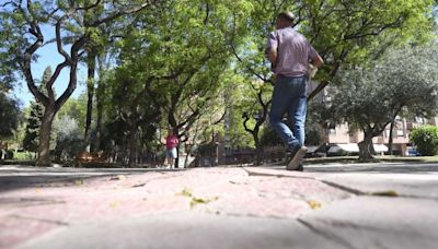 Parque Bohemia, la gran zona urbana verde olvidada de Murcia