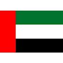 United Arab Emirates national football team