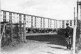 Drancy internment camp