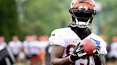 Expert brings up good point about Tee Higgins and Bengals' WR spot