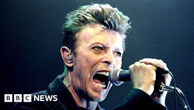 Hyenas and wild pigs feature in new David Bowie remix