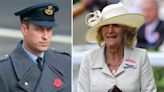 Prinz William streicht Camillas Schwester Annabel von der Gehaltsliste