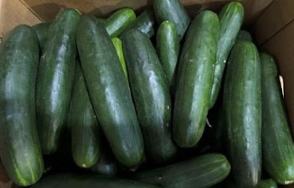 More than 160 sickened in salmonella outbreak potentially linked to recalled cucumbers