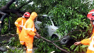 Heavy rain continues in Thrissur; low-lying areas under water