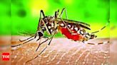 Docs fear dengue surge in Telangana, hint at epidemic threat | Hyderabad News - Times of India