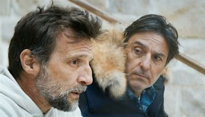 «Frères» avec Mathieu Kassovitz et Yvan Attal : la folle histoire de deux orphelins qui ont survécu 7 ans en forêt