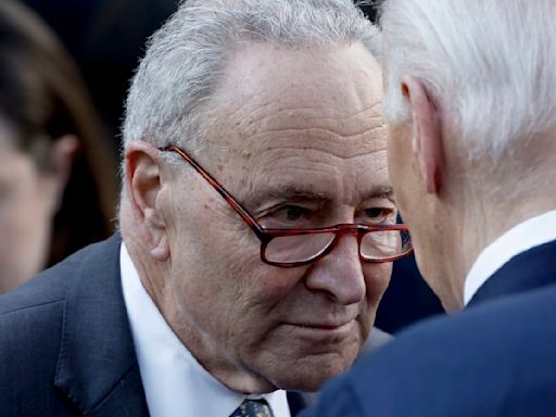 Chuck Schumer Told Biden to Go Just Before Trump Kill Bid: Report