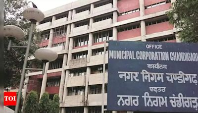 Chandigarh MC to Process Sector 26 Mandi Garbage on Payment Basis | Chandigarh News - Times of India