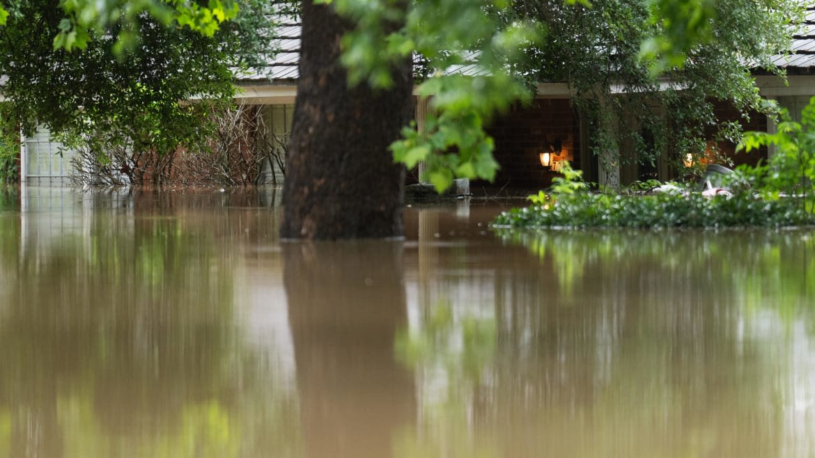 VIDEO: Houston Cops Rescue Man and Dogs Trapped in 10 Feet of Water