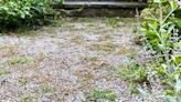 Ditch white vinegar and salt to remove gravel weeds for better household item