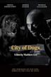 City of Dogs | Drama