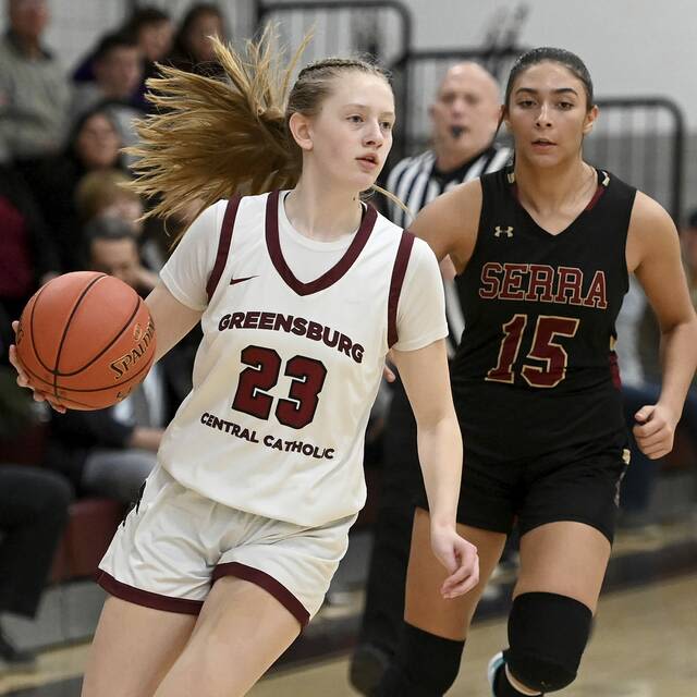 WPIAL releases 2024-25 basketball schedules, updates section alignment for girls teams | Trib HSSN