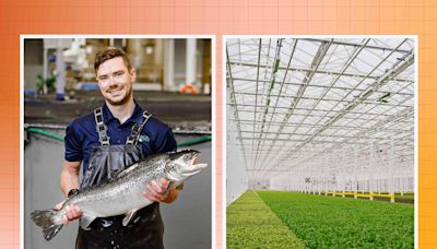 Why America's Favorite Fish Is Being Farmed Indoors