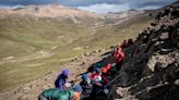 Dinosaurios de 10 metros dominaron Patagonia chilena hace 70 millones de años