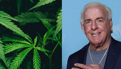 Ric Flair Will Visit California Dispensary On 4/20 For Debut Of His Cannabis Brand, But First Meet Him At...